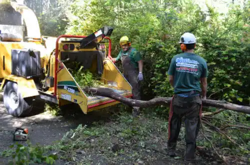 tree services Hoisington